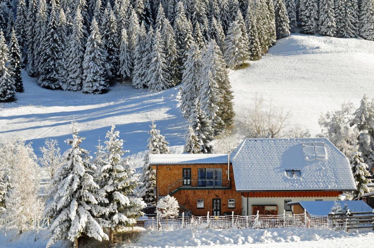 Landhaus Riesneralm Доннерсбахвальд Экстерьер фото